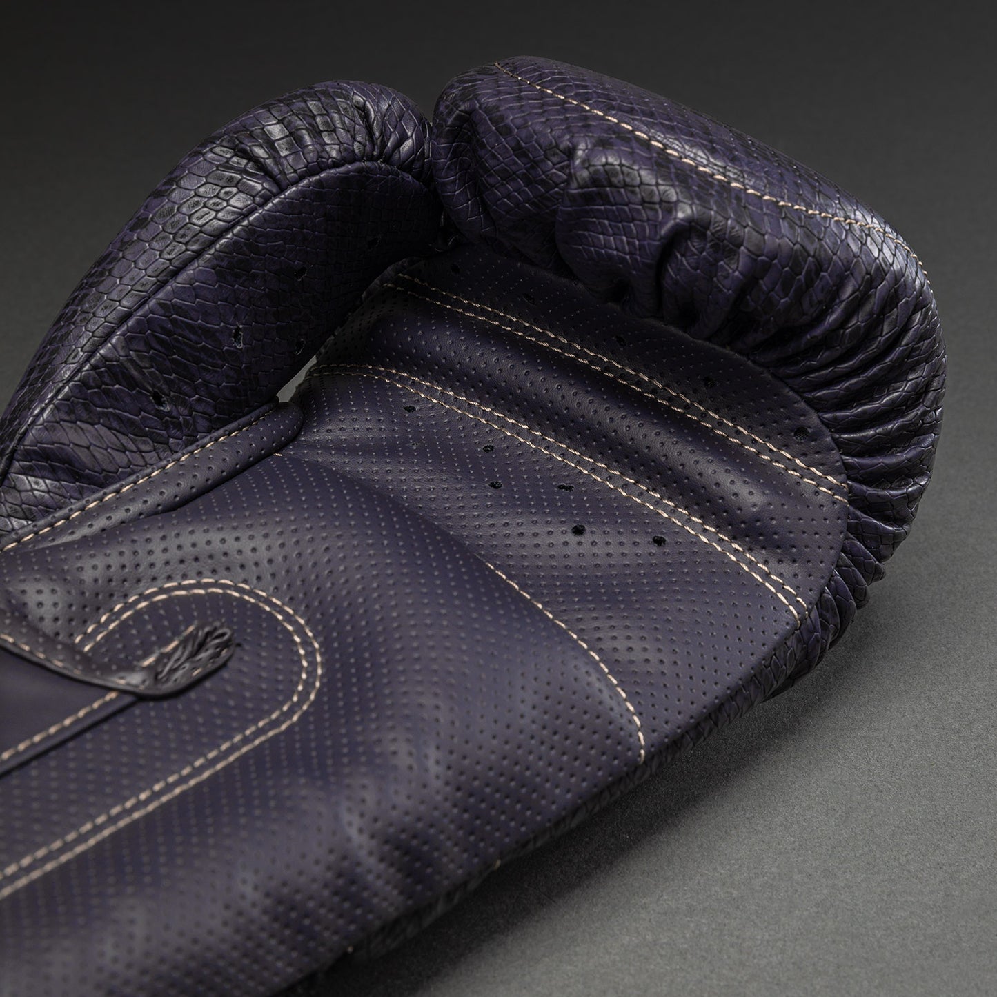 Venum Impact Evo Scales Guantes de Boxeo – Púrpura Oscuro