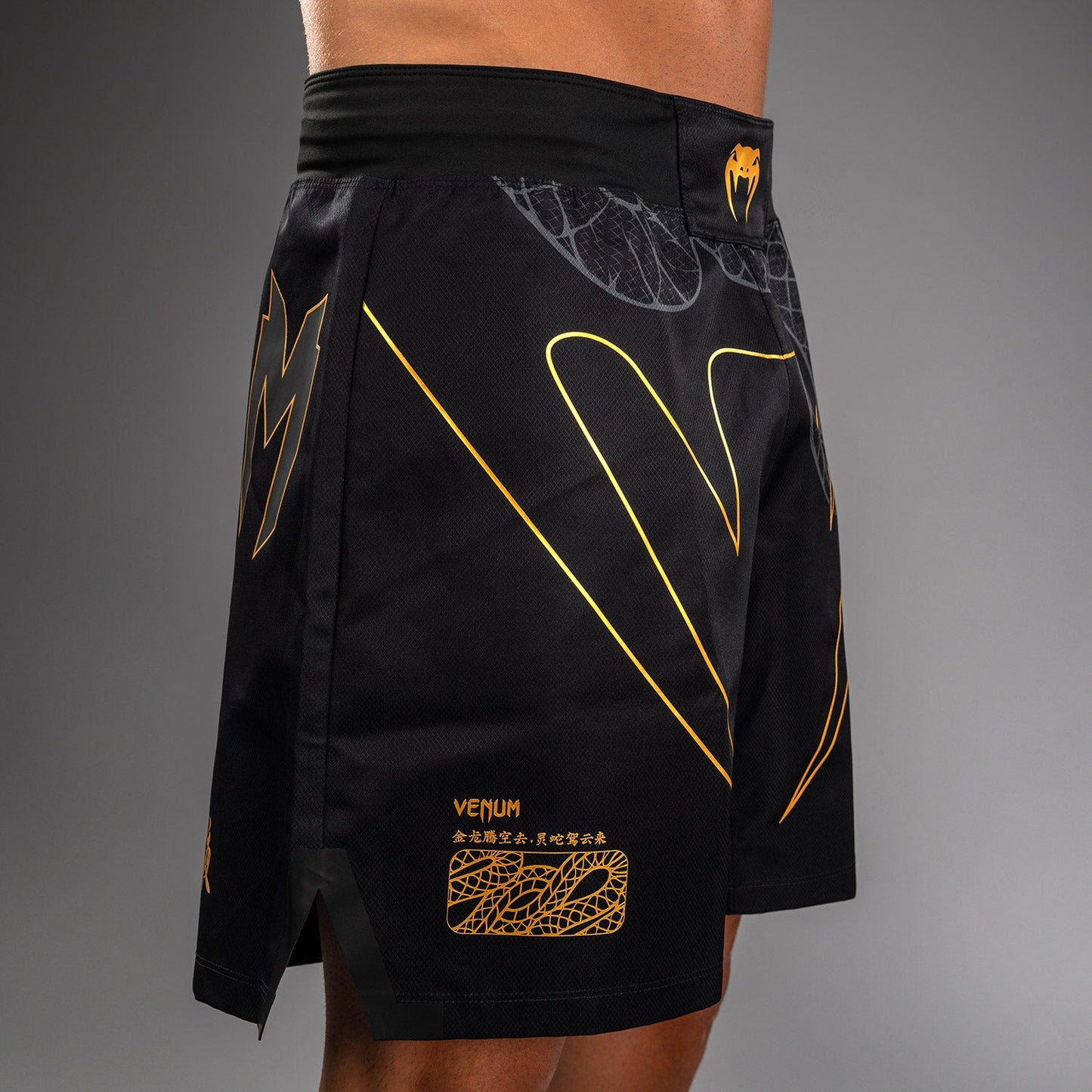 Venum Serpenti Pantalones Cortos de Lucha – Negro/Plata/Dorado