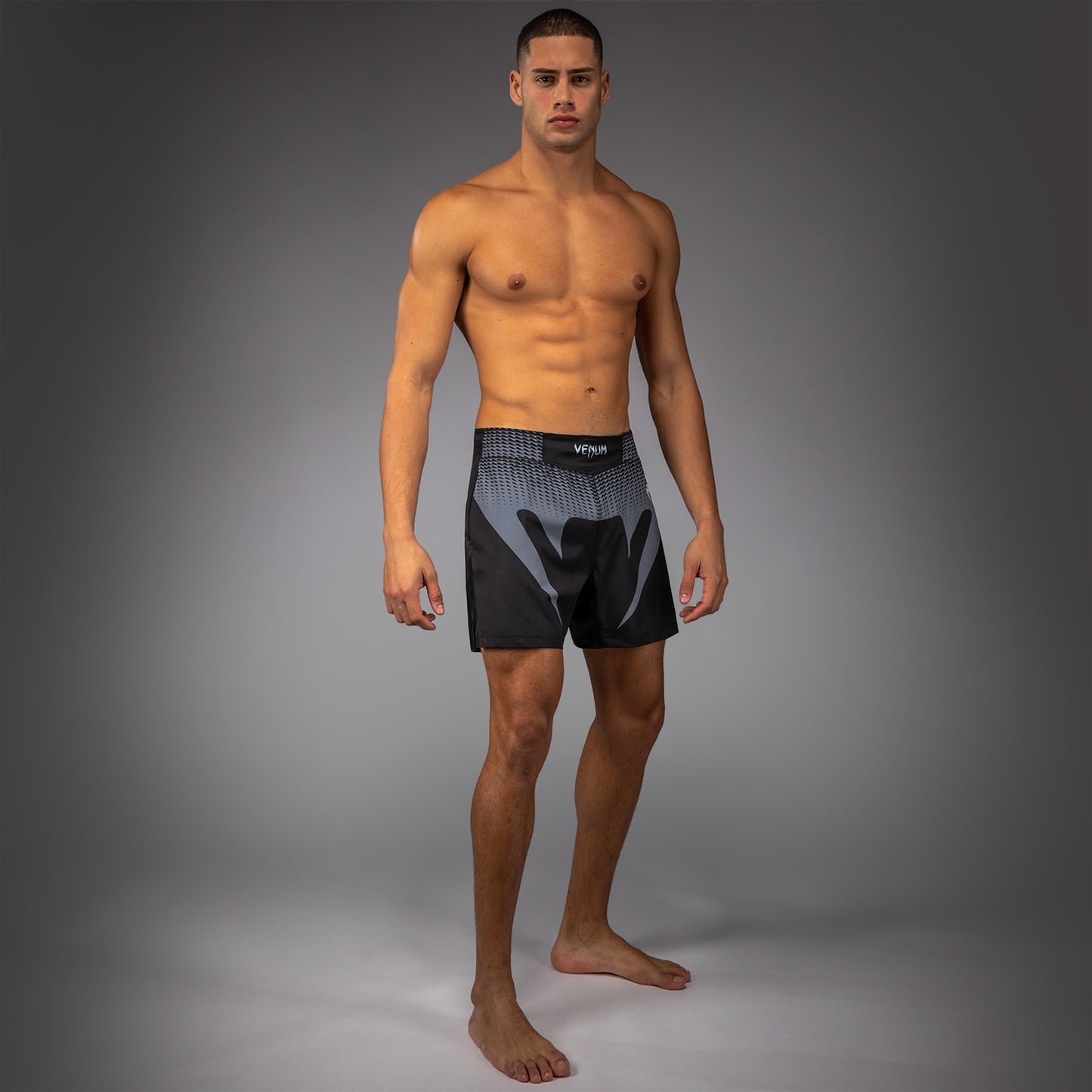 Venum No Gi Fightshorts Pantalones Cortos de Lucha - Negro/Gris Plata