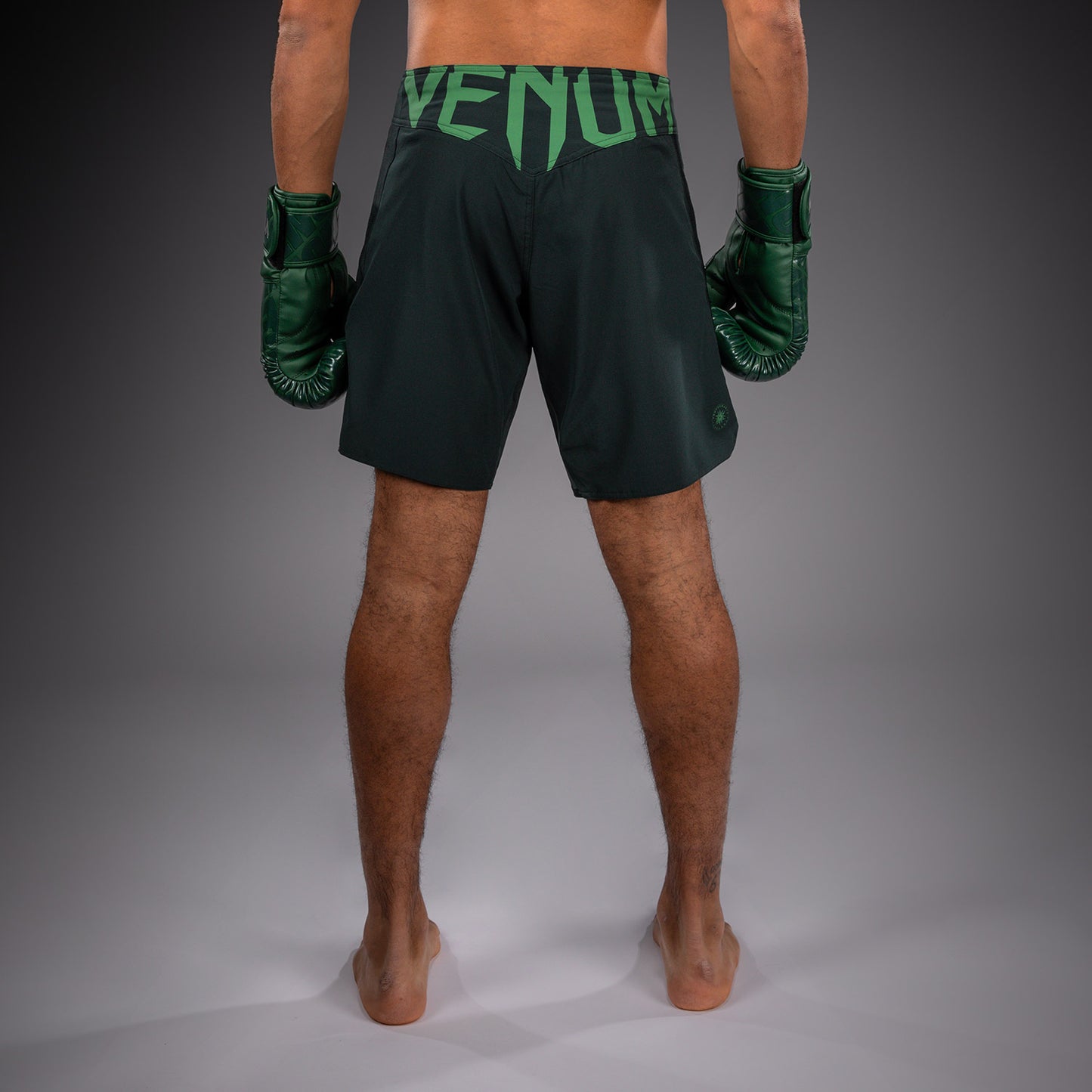 Venum Light 5.0 Fightshorts - Verde bosque/Verde claro