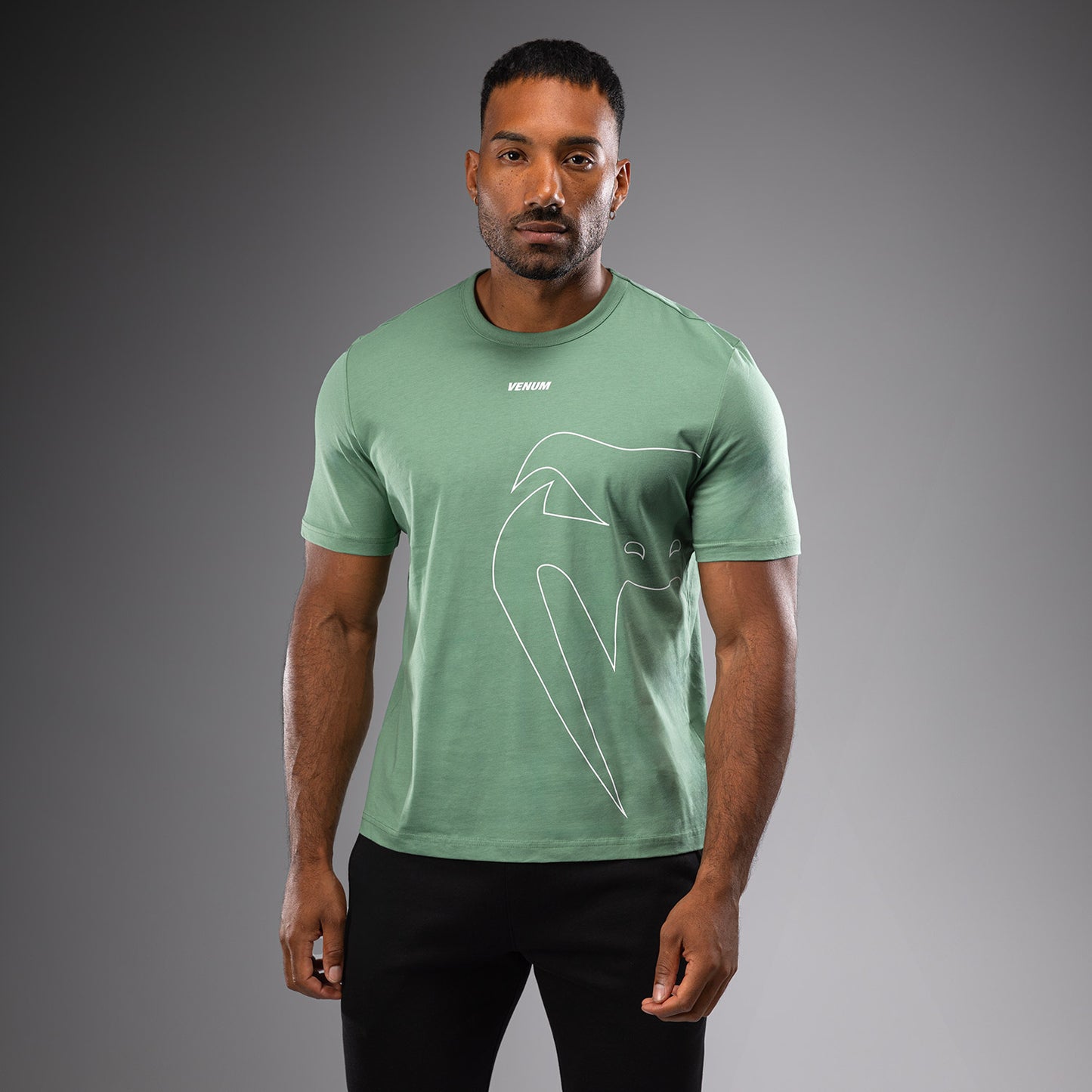 Venum Giant Connect Camiseta - verde lima