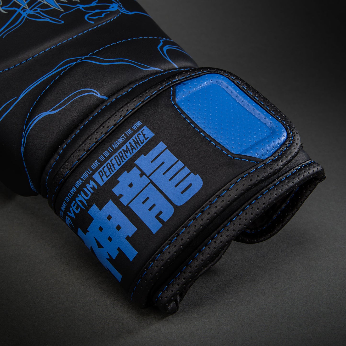 Venum Thunder Dragon Guantes de Boxeo – Negro/Azul Real