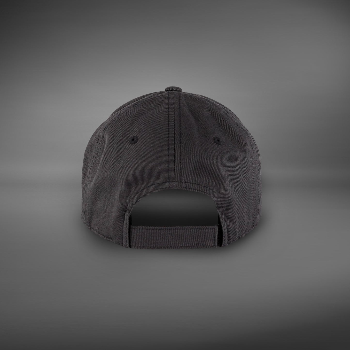 Venum Classic 2.0 Gorra - Gris Grafito