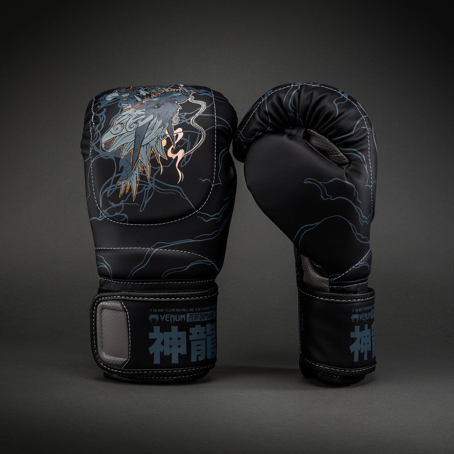 Venum Thunder Dragon Guantes de Boxeo – Negro/Gris/Cobre