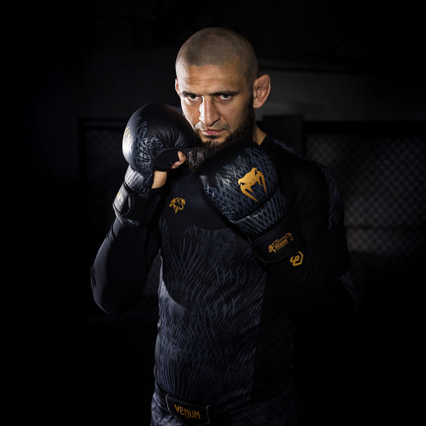 Venum x Chimaev Guantes de Sparring  - Negro/Dorado
