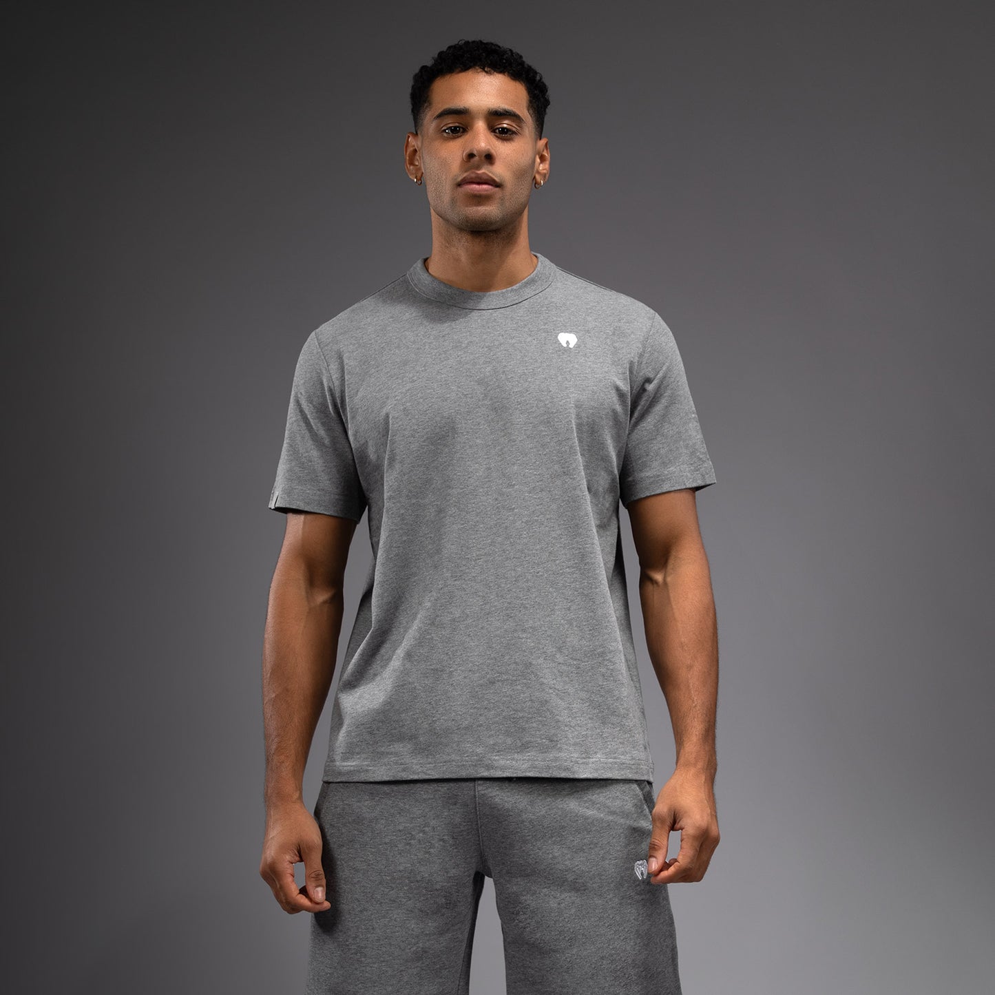 Venum Silent Power Camiseta - Cloudy Grey