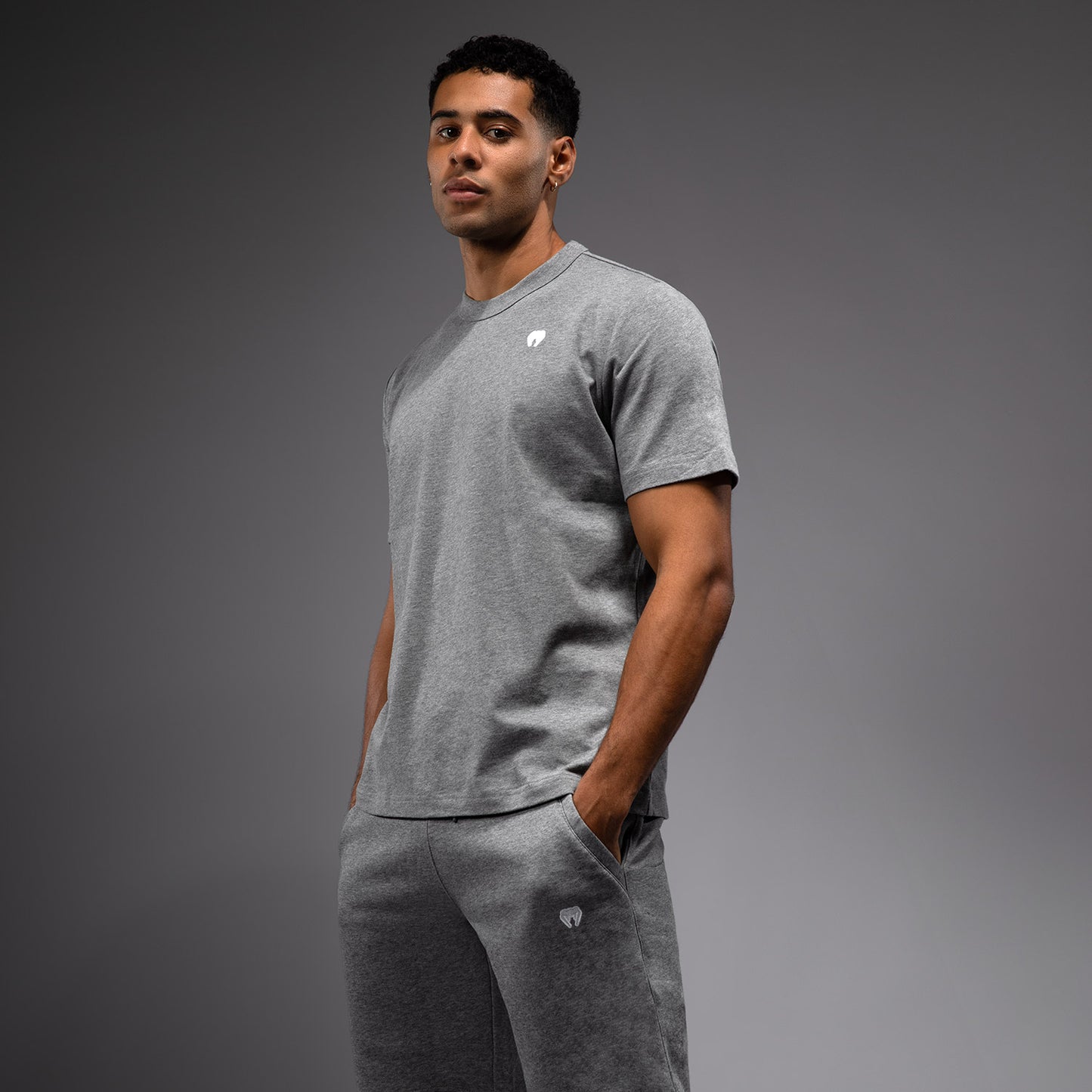 Venum Silent Power Camiseta - Cloudy Grey