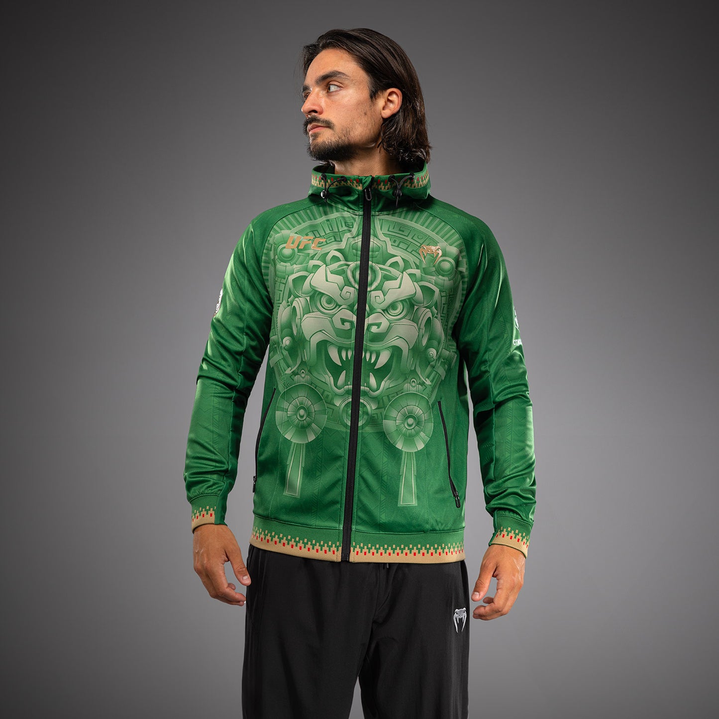 Noche UFC 2.0 By Venum Authentic Fight Night Sudadera con Capucha - Verde