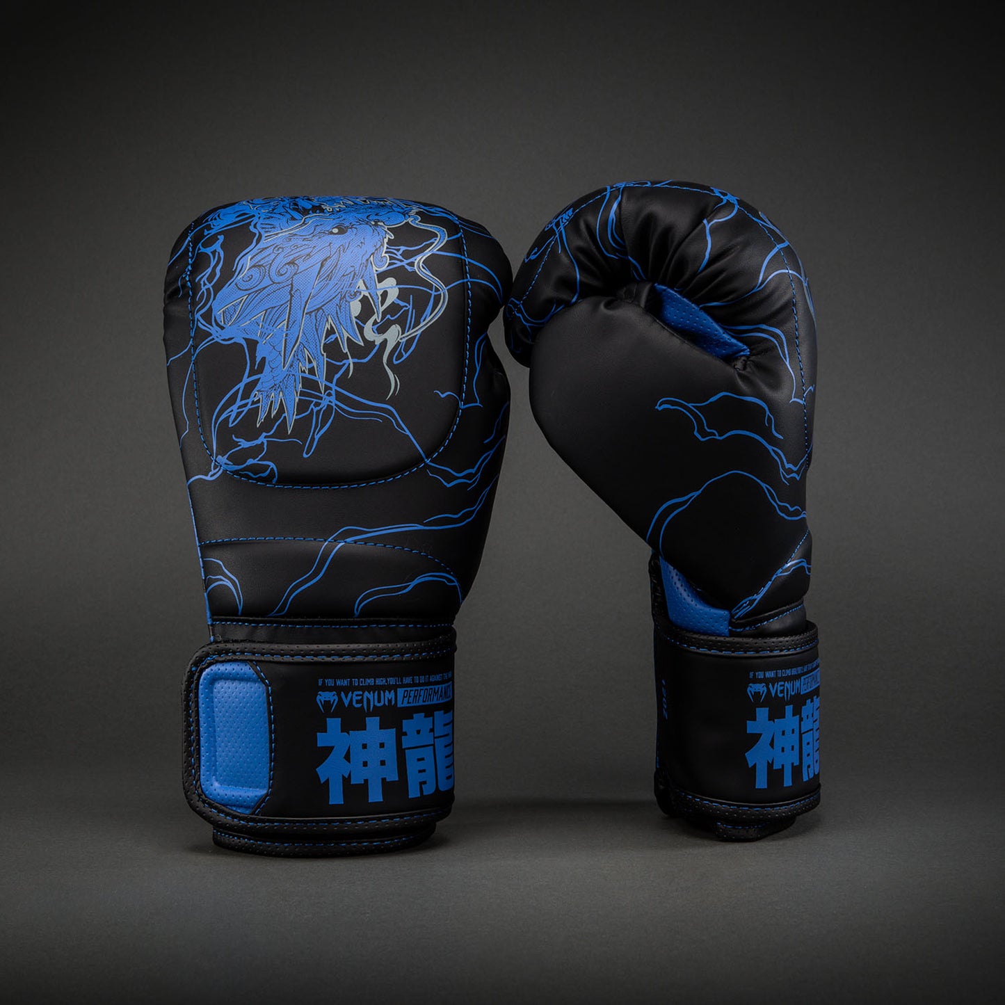 Venum Thunder Dragon Guantes de Boxeo – Negro/Azul Real