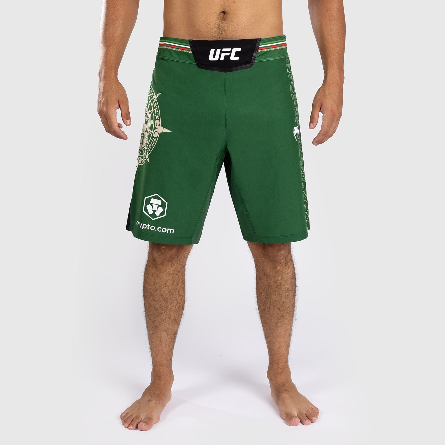 Noche UFC by Venum Authentic Fight Night Pantalones cortos de combate para hombre - Corte largo - Verde