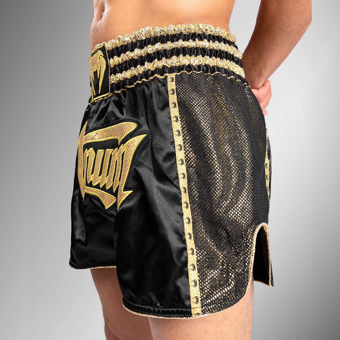 Pantalones Cortos de Muay Thai Venum Absolute 2.0 - Negro/Oro
