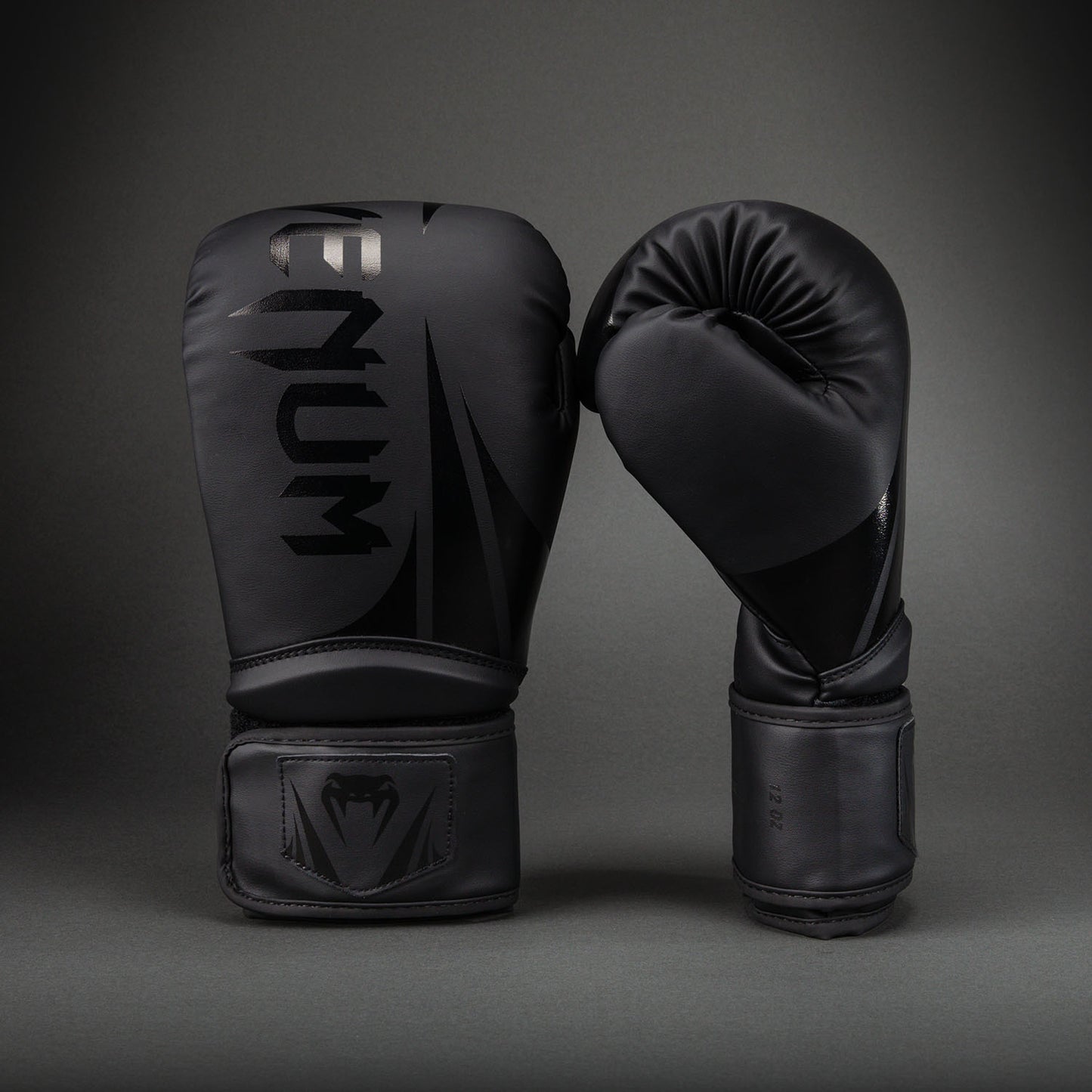 Venum Challenger 2.5 Guantes de Boxeo – Negro/Negro