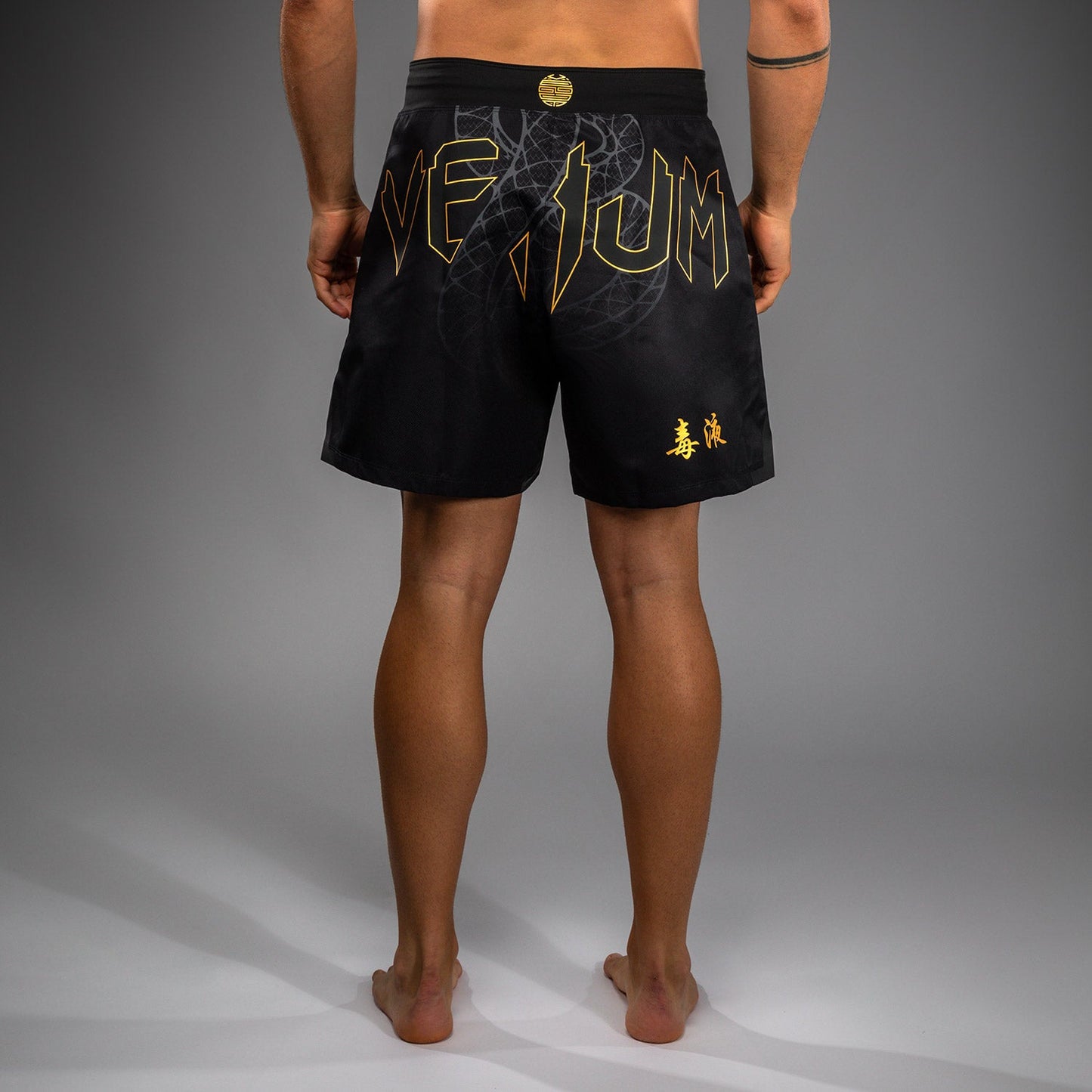 Venum Serpenti Pantalones Cortos de Lucha – Negro/Plata/Dorado