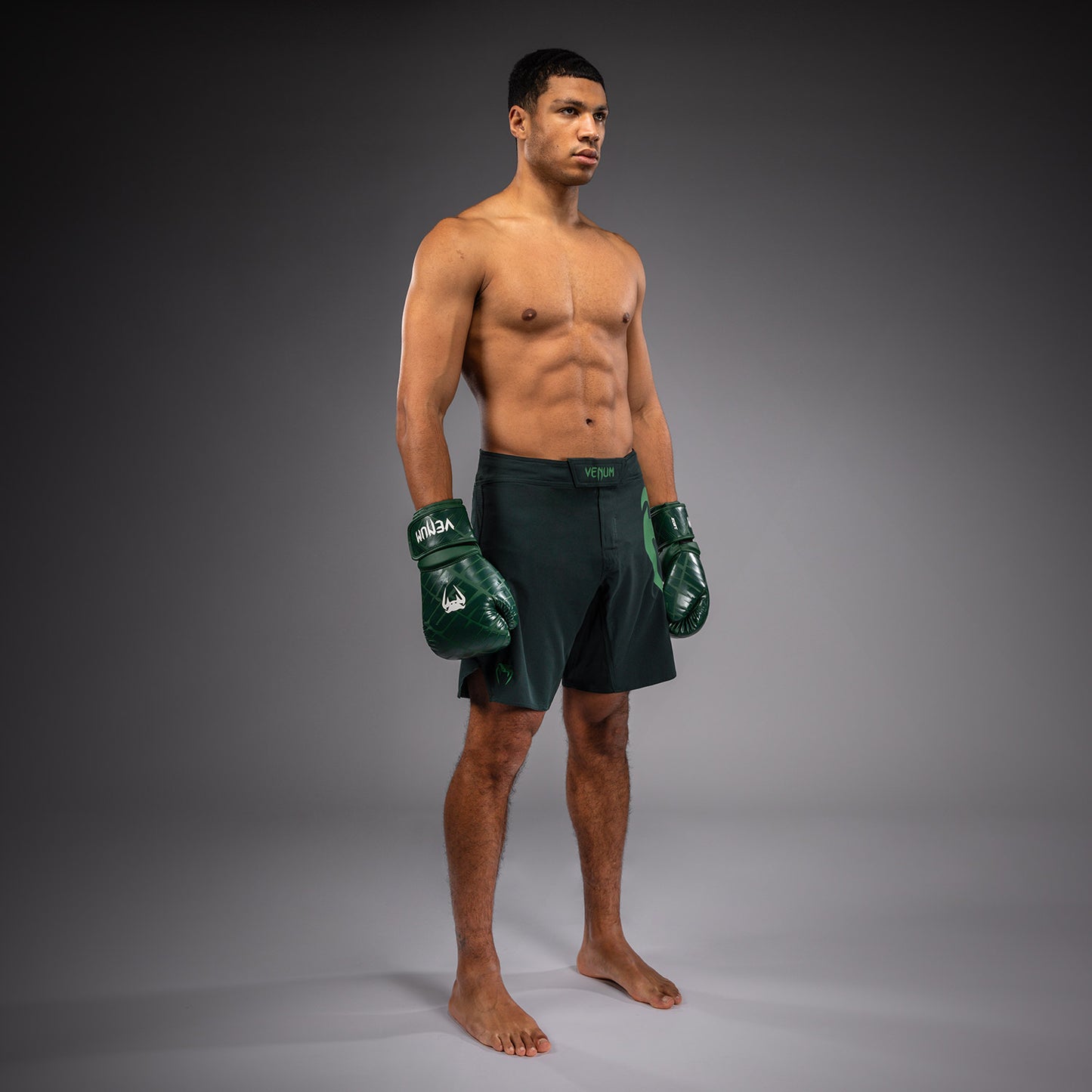 Venum Light 5.0 Fightshorts - Verde bosque/Verde claro