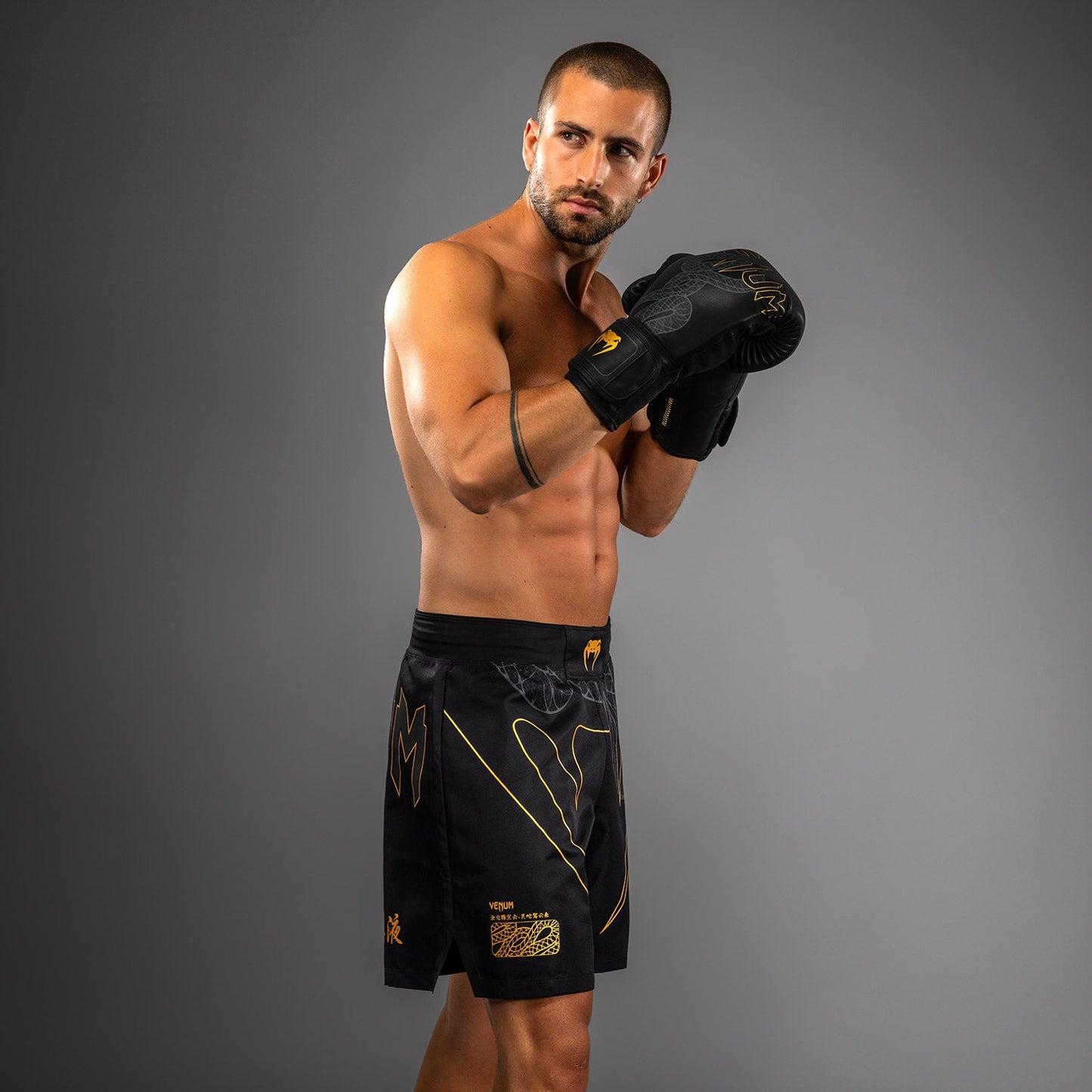 Venum Serpenti Pantalones Cortos de Lucha – Negro/Plata/Dorado