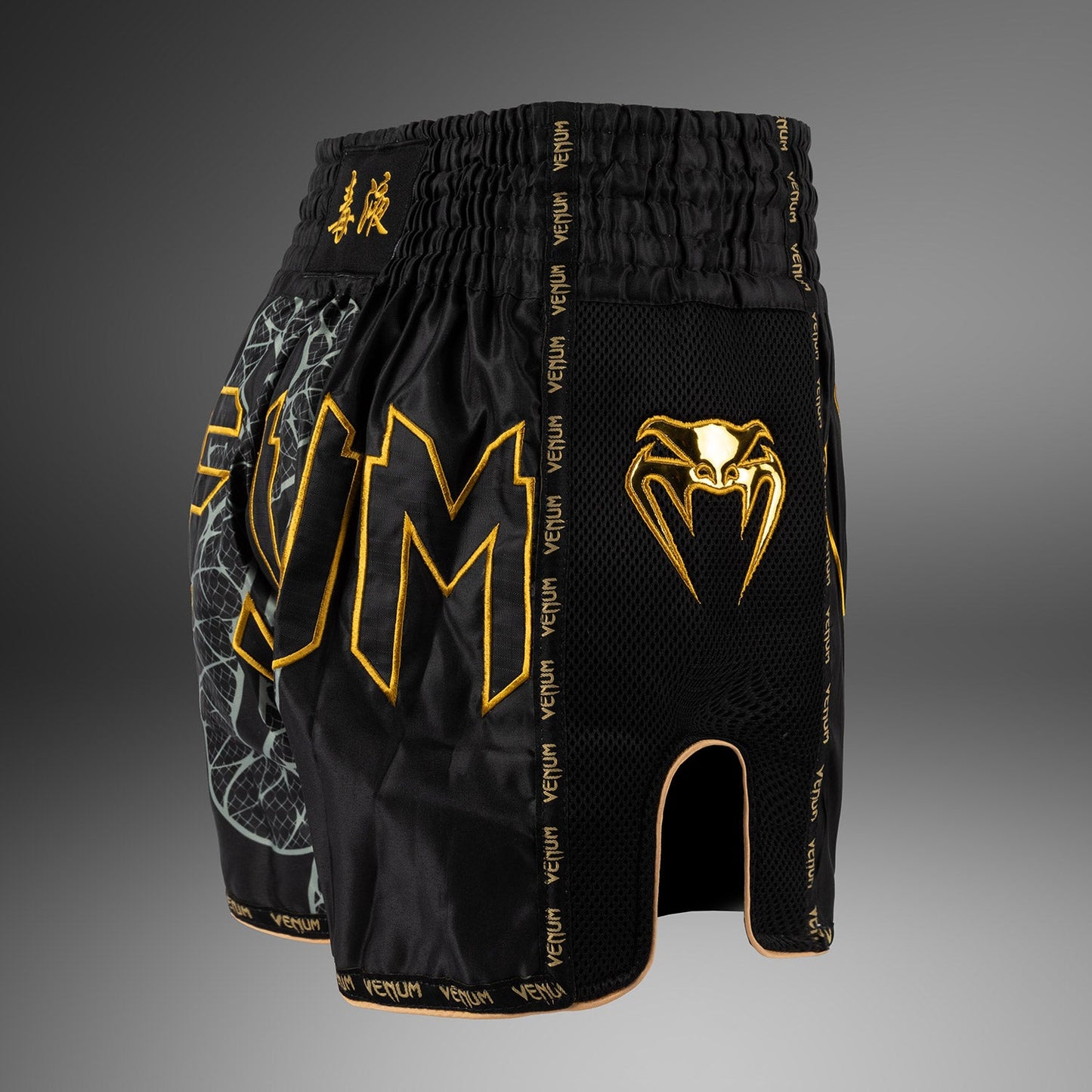 Venum Serpenti Pantalones Cortos Muay Thai – Negro/Plateado/Dorado