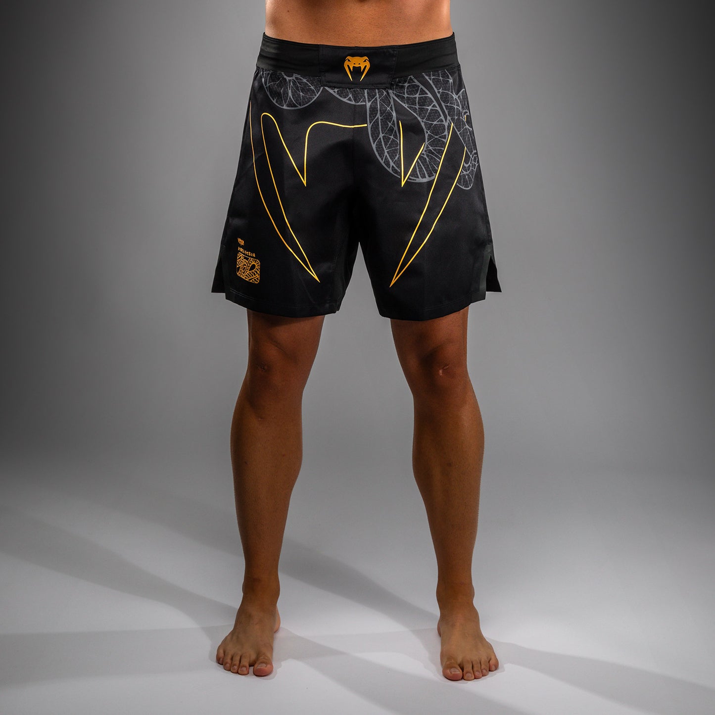 Venum Serpenti Pantalones Cortos de Lucha – Negro/Plata/Dorado