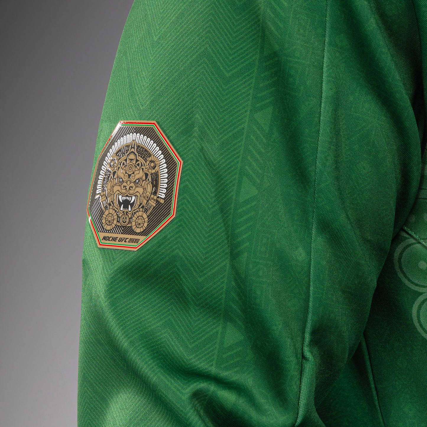 Noche UFC 2.0 By Venum Authentic Fight Night Sudadera con Capucha - Verde