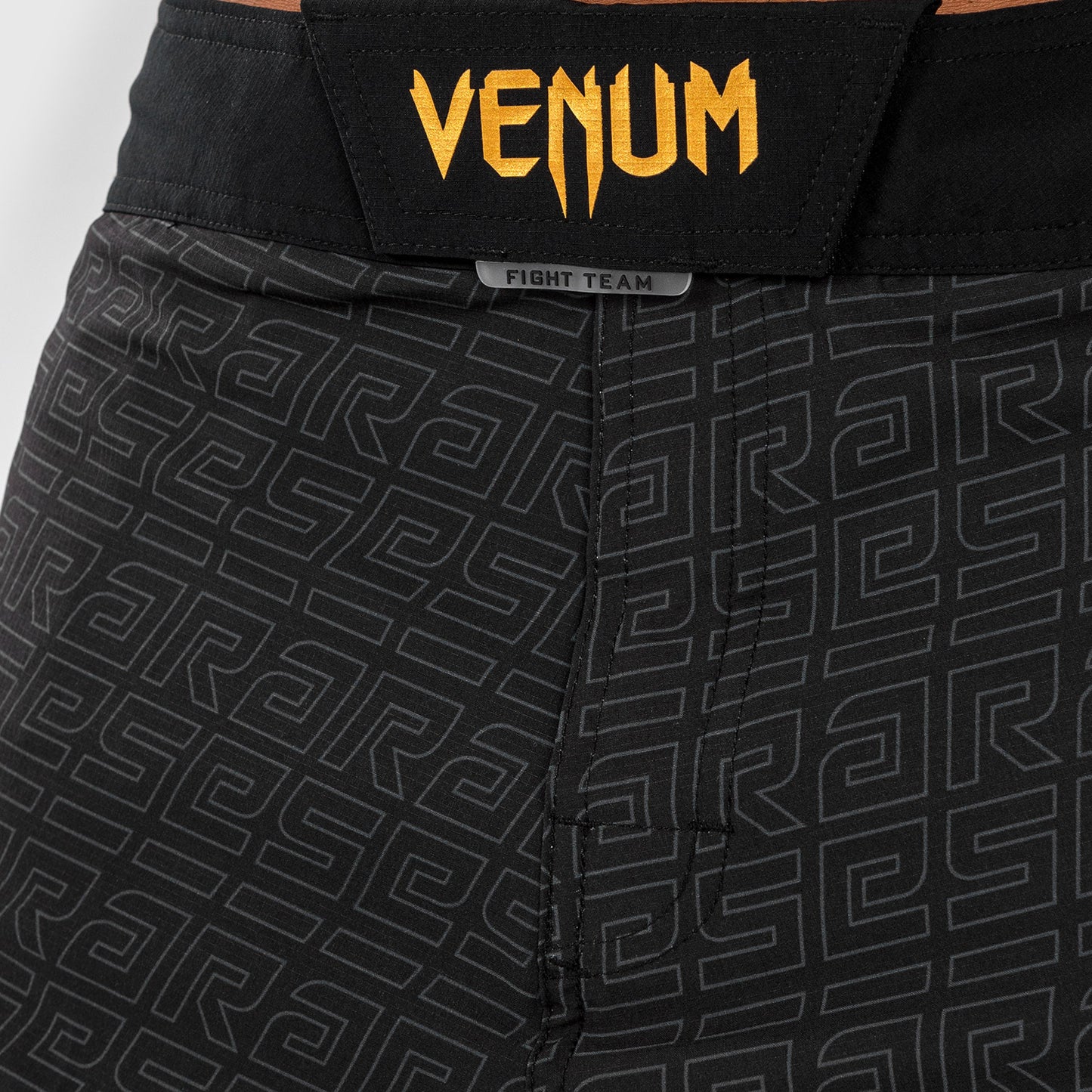 Venum x Ares Pantalones de Lucha para Hombre - Negro/Dorado