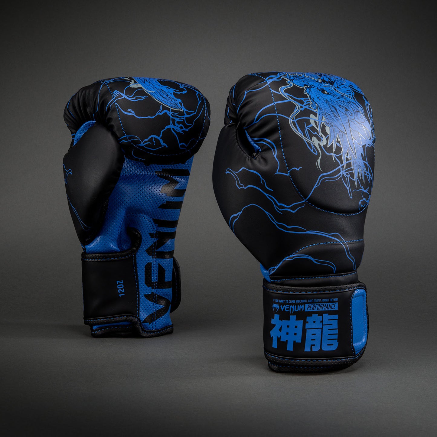Venum Thunder Dragon Guantes de Boxeo – Negro/Azul Real