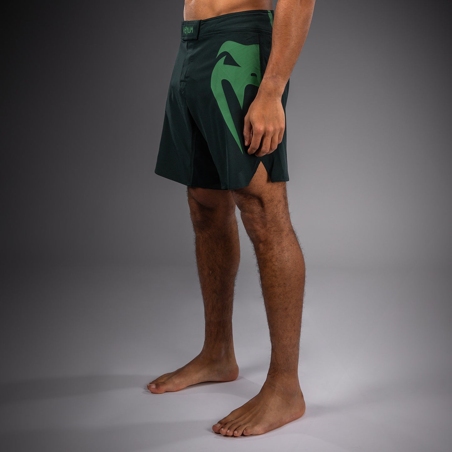 Venum Light 5.0 Fightshorts - Verde bosque/Verde claro