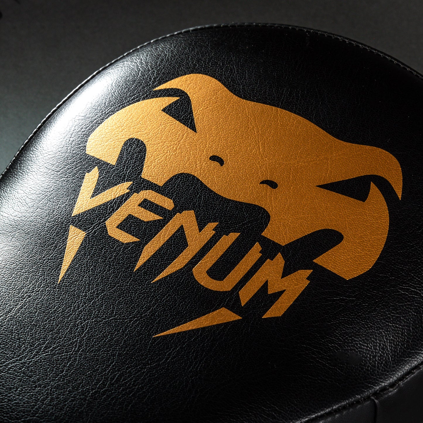 Venum Light Manoplas de Entrenamiento (Par) - Negro/Oro