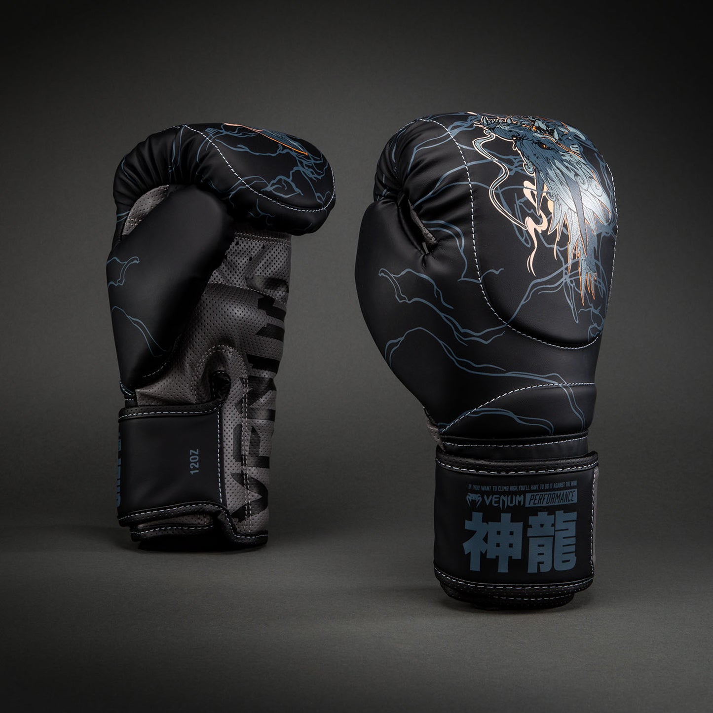 Venum Thunder Dragon Guantes de Boxeo – Negro/Gris/Cobre