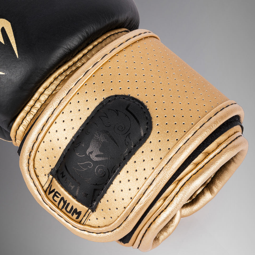 Guantes de boxeo Venum Power 2.0 - Negro/Dorado