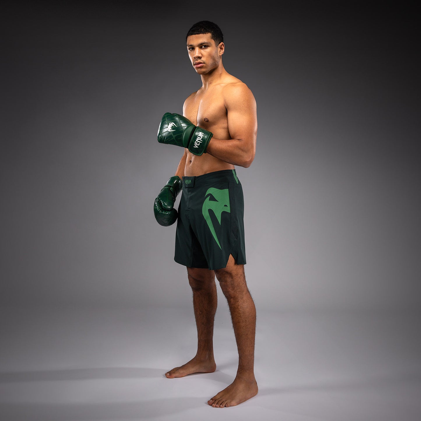Venum Light 5.0 Fightshorts - Verde bosque/Verde claro