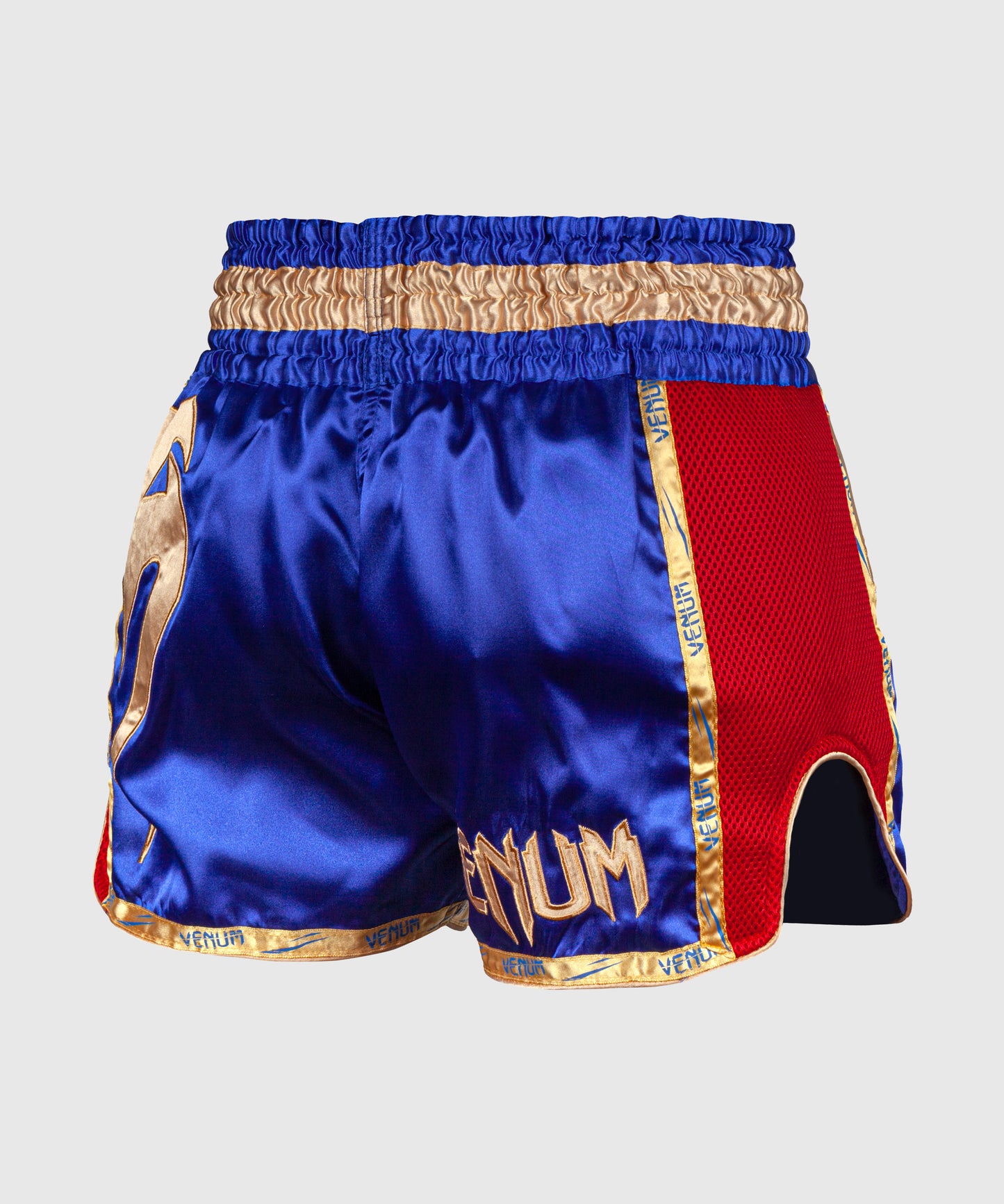 Pantalones Cortos de Muay Thai Venum Giant - Navy/Gold