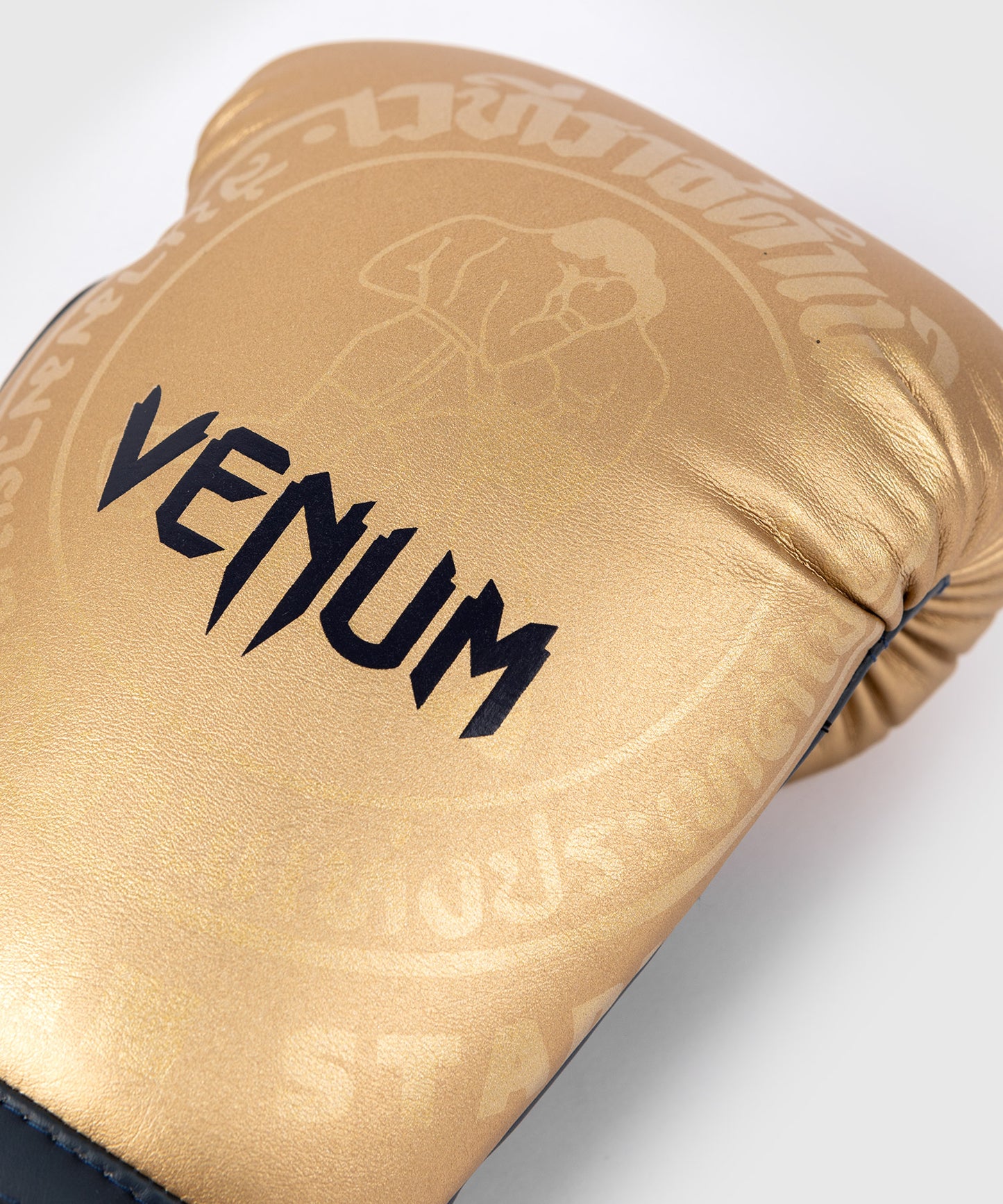 Guantes de Boxeo Venum RAJADAMNERN - Arena