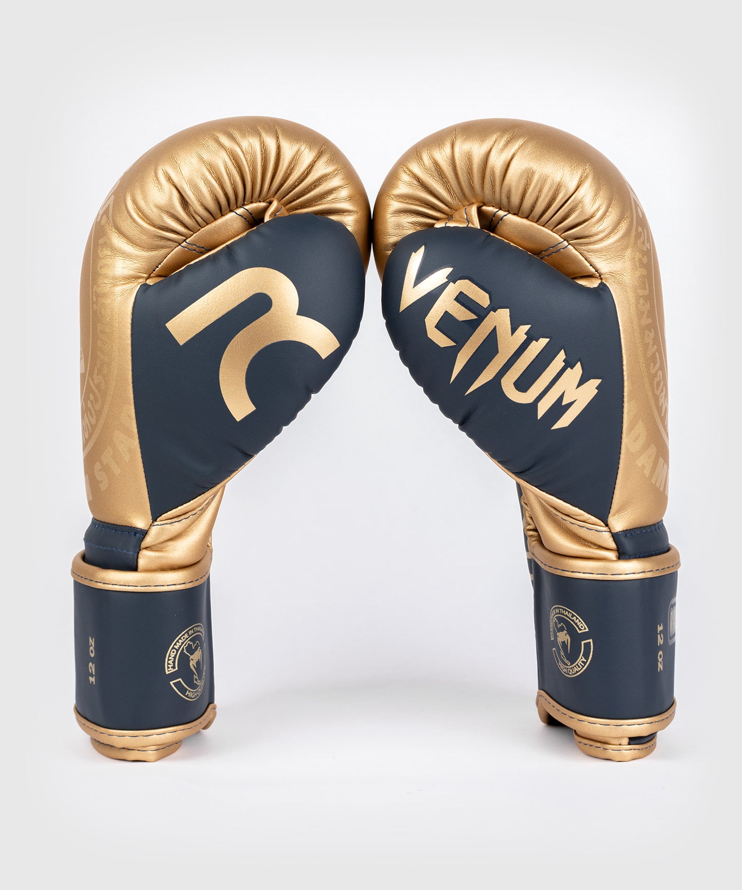 Guantes de Boxeo Venum RAJADAMNERN - Arena