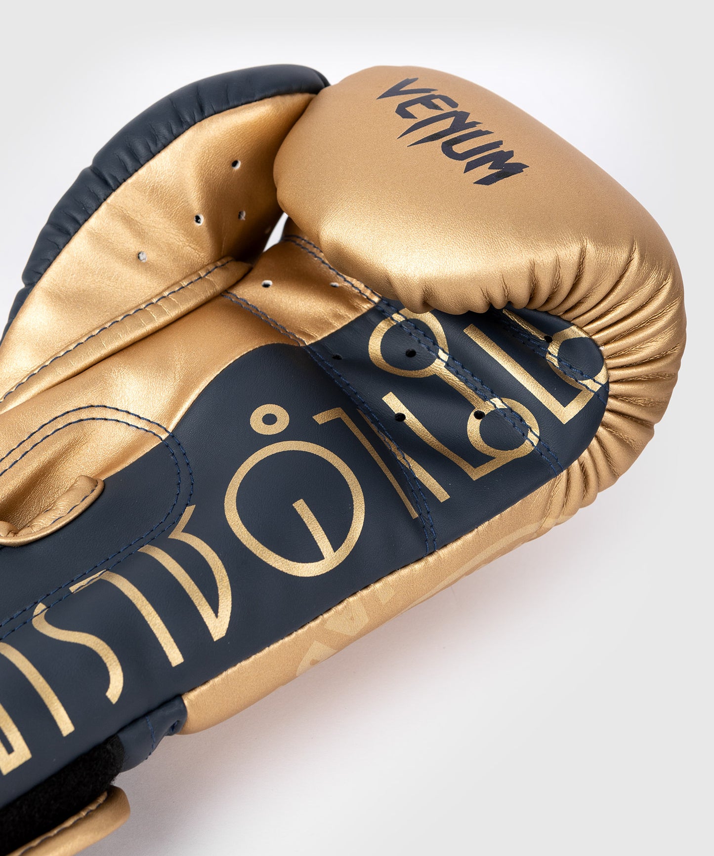 Guantes de Boxeo Venum RAJADAMNERN - Arena