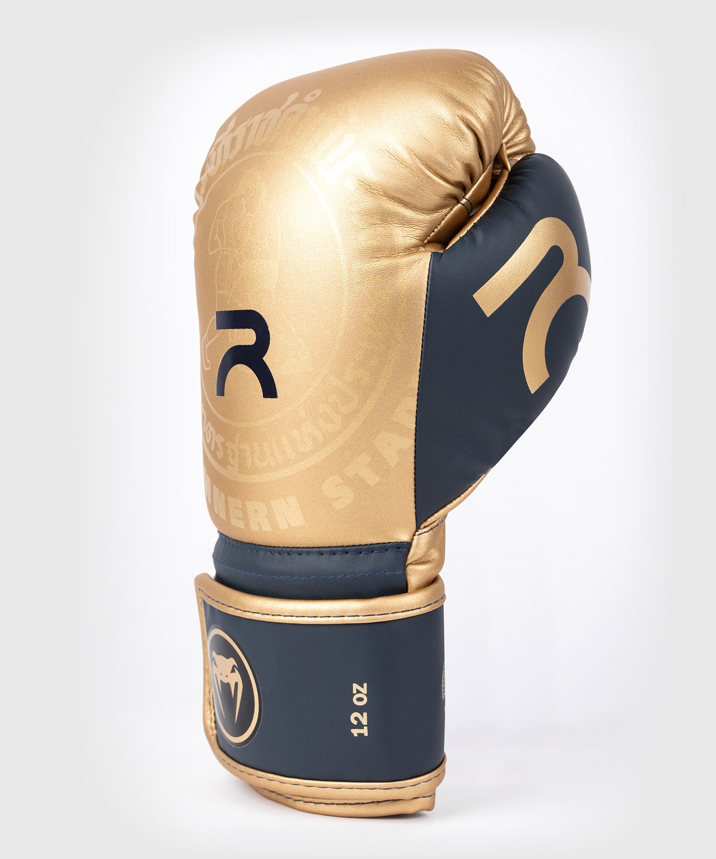 Guantes de Boxeo Venum RAJADAMNERN - Arena